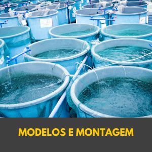 Modulo 1